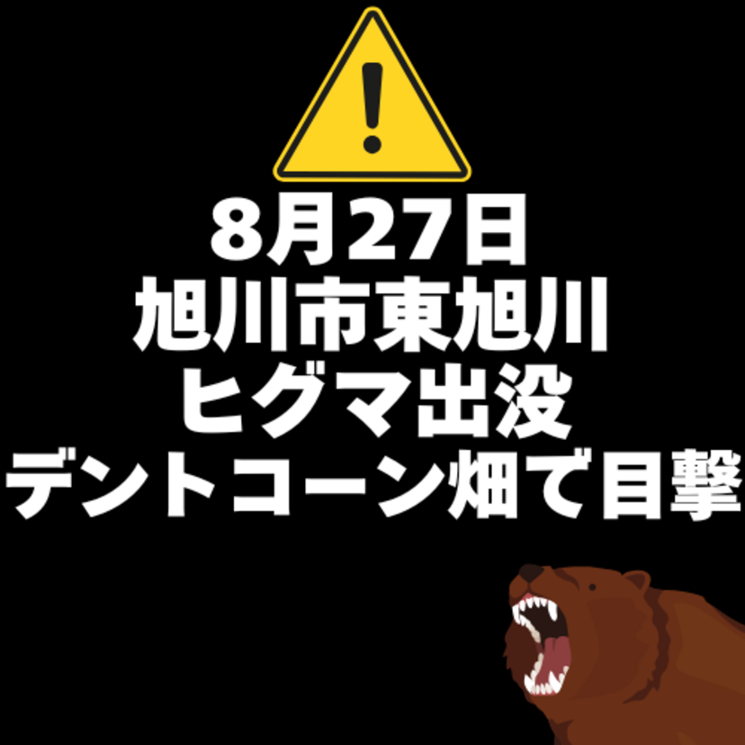 【8月27日】東旭川にヒグマ出没(デントコーン畑で目撃)