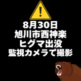 【8月30日】旭川市西神楽にヒグマ出没(監視カメラで撮影)