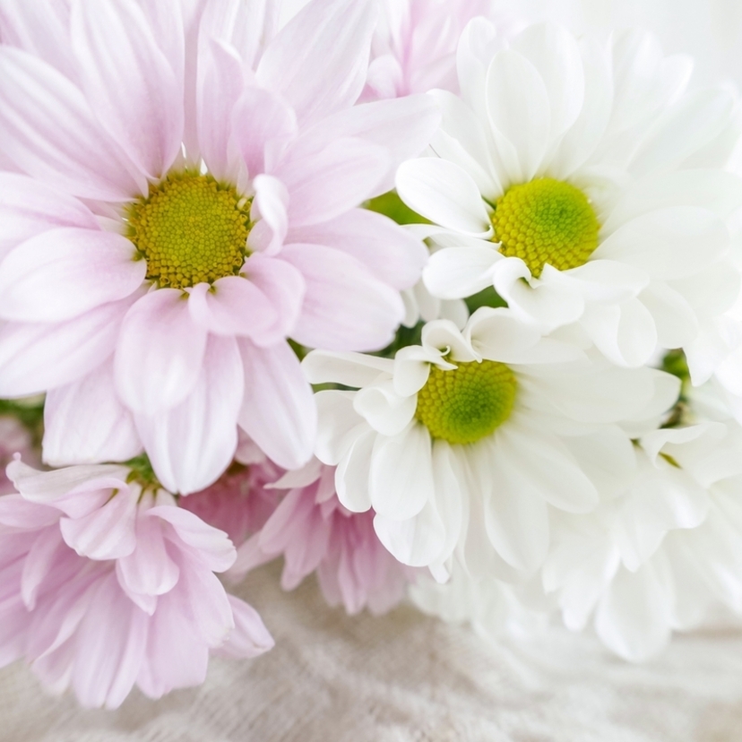 事情で参列できない場合どうするの？【意外と知らない葬儀のマナー毎月紹介】