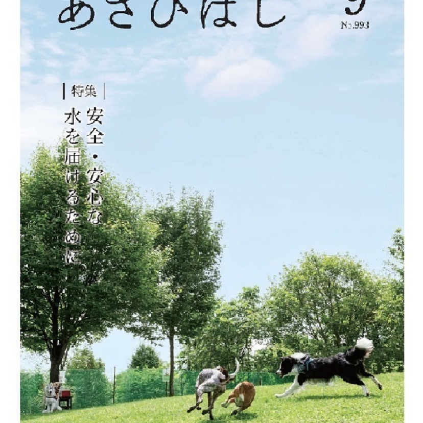 あさんぽしてみませんか？