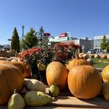 必見！2025年北海道内秋のイベント一挙紹介