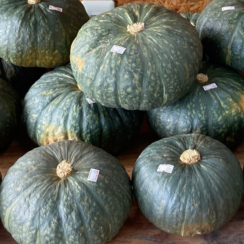 秋の味覚を満喫！和寒町でかぼちゃスイーツと野菜直売所めぐり