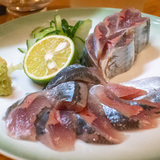 まちなか【居酒屋】旨いもん録