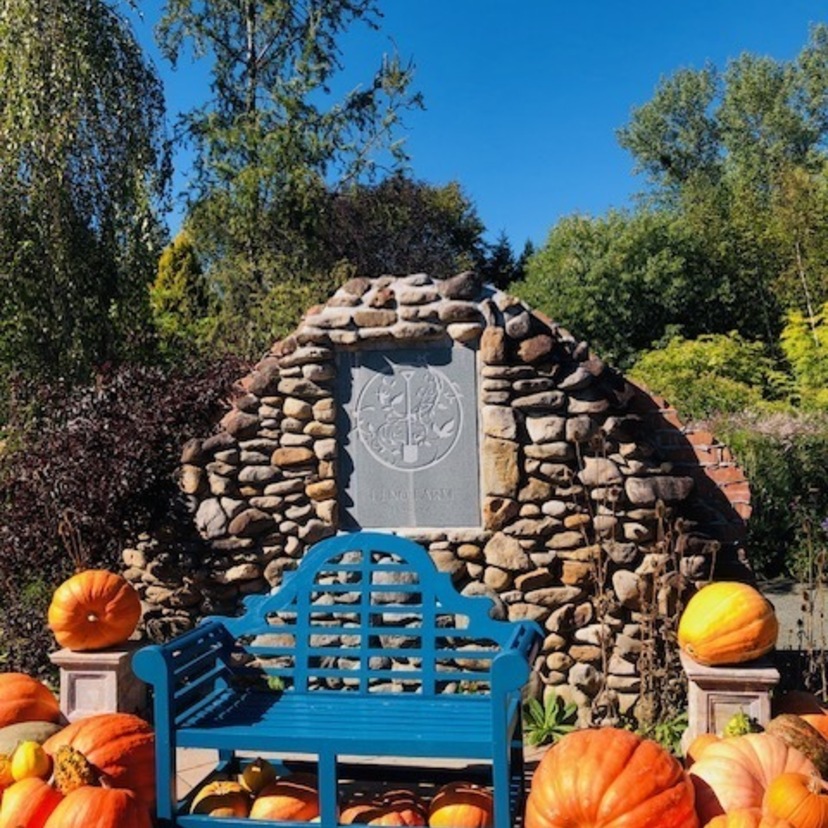 大人も本気で楽しもう！ 旭川の人気観光地３選