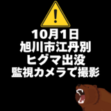【10月1日】旭川市江丹別にヒグマ出没(監視カメラでヒグマが撮影された)
