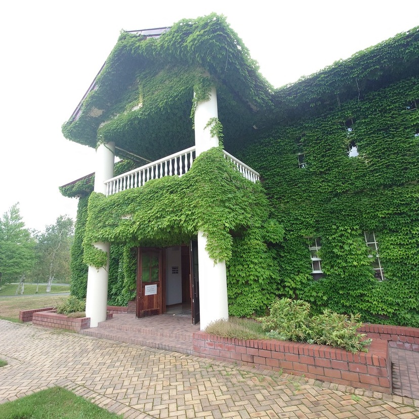 由仁町へ秋の紅葉ドライブ♪岩見沢のデカ盛りもあり！