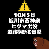 【10月5日】旭川市西神楽にヒグマ出没(道路を横断するヒグマを目撃)