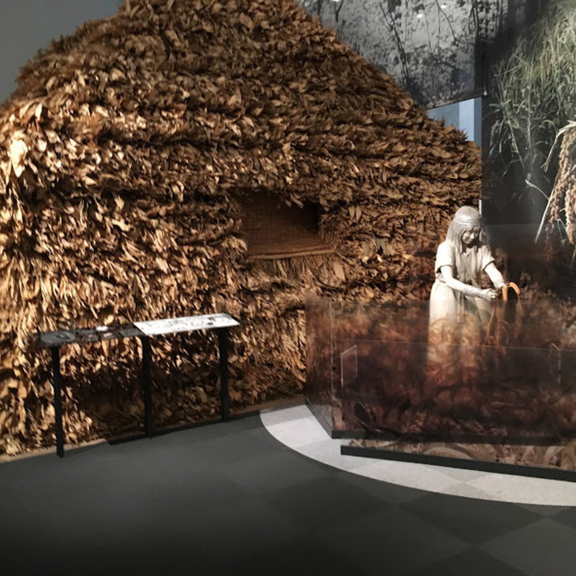 最近、博物館に行きましたか？「旭川市博物館」の見どころをご紹介