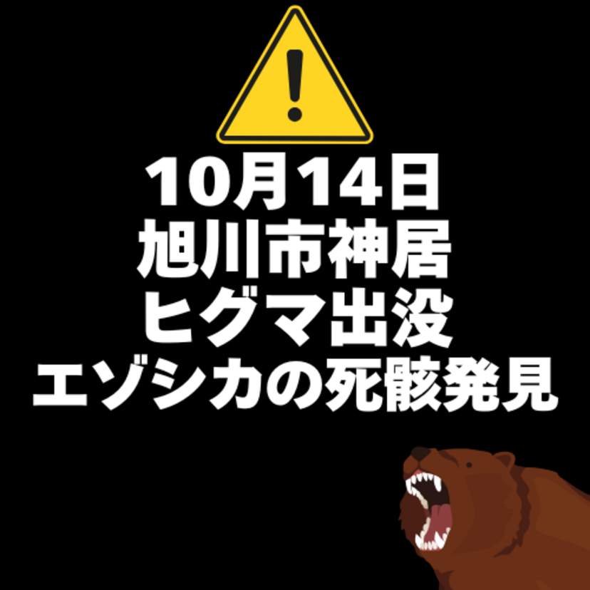 【10月14日】旭川市神居にヒグマ出没(食痕※エゾシカ死骸)を発見