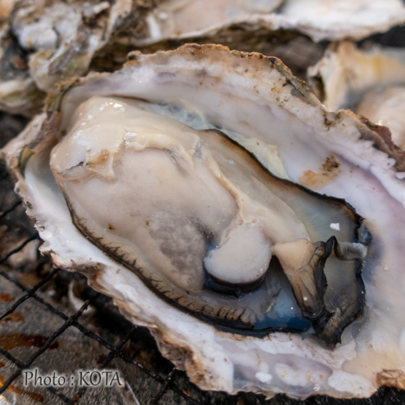 その味を見逃すな!! 続【まちなか】旨いもん録