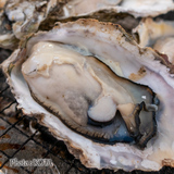 その味を見逃すな!! 続【まちなか】旨いもん録