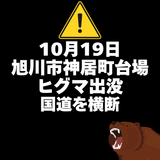 【10月19日】旭川市神居町台場にヒグマらしき動物出没(国道を横断)を発見