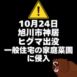 【10月24日】旭川市神居8条にヒグマ出没(一般住宅の家庭菜園に侵入)