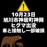 【10月23日】旭川市神居町神岡に親子ヒグマ出没(車両と接触し一部破損)