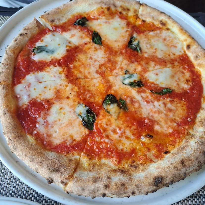 神楽岡のプラタナス通りを散策！！優雅な雰囲気でピザを食べつつお買い物