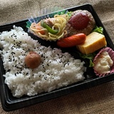 手作りのお弁当やおにぎり！ゆっくり味わいたいテイクアウトグルメ
