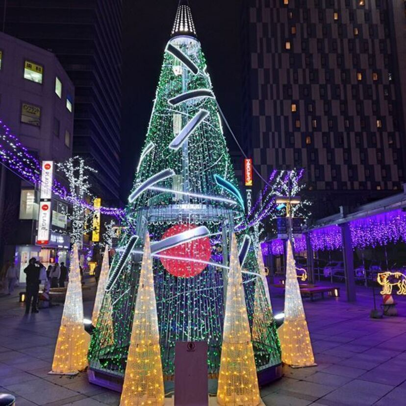 【旭川・上川】旭川イルミネーション30周年＆美味しいパン＆ランチのお店♪