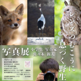 【11月29日~】旭川市中央図書館で小学生写真家の写真展開催