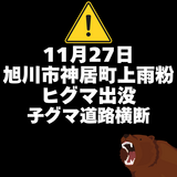 【11月27日】旭川市神居町上雨粉に子グマ出没(道路上を移動)