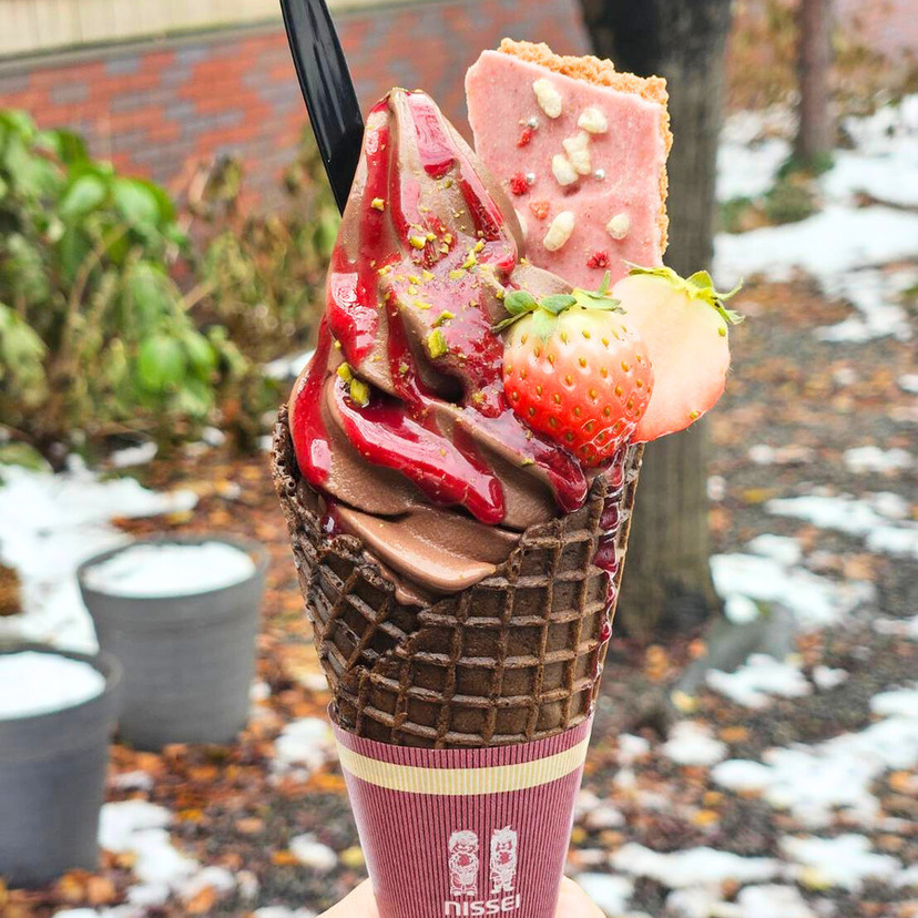 トッピングが魅力！冬でも食べたい絶品ソフトクリーム【旭川市】