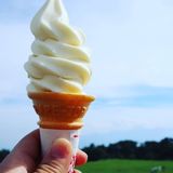 北海道ファームの牛乳で作る絶品ソフトクリーム