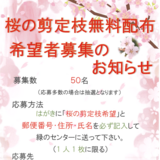 【2月6日まで】旭川市で桜の剪定枝無料配布希望者を募集しています