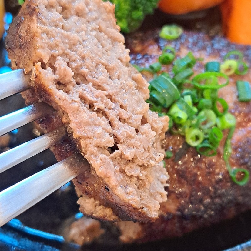 肉!肉!!肉盛りだくさん‼豚丼からハンバーグまで、肉好き必見のお店３選