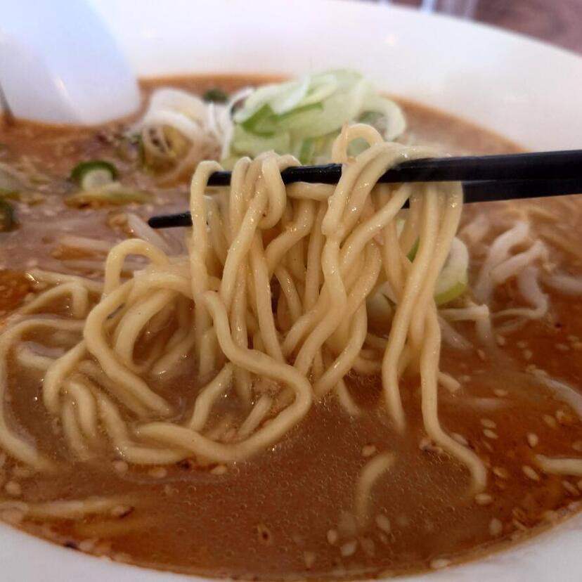 今日はラーメン気分。旭川で見つけた満足度高めの3杯を紹介！