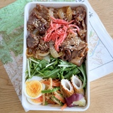 お弁当づくり役立つ！百均で買えるおすすめアイテム（旭川市）