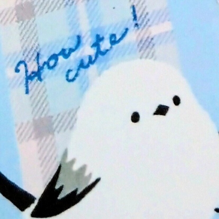 【旭川】100円ショップ＊オススメ3店舗と購入品紹介