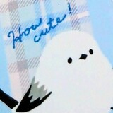 【旭川】100円ショップ＊オススメ3店舗と購入品紹介