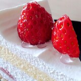 【旭川】ショートケーキ巡り＊おすすめケーキ店3選