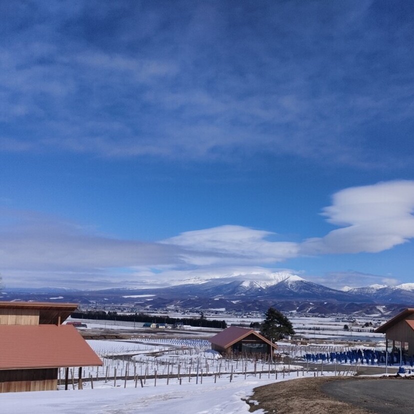 今がチャンス！オフシーズンの富良野人気グルメスポットで味わう軽食