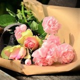 【5月10日は母の日】感謝のお花を贈ろう！【旭川市内近郊の花屋7選】