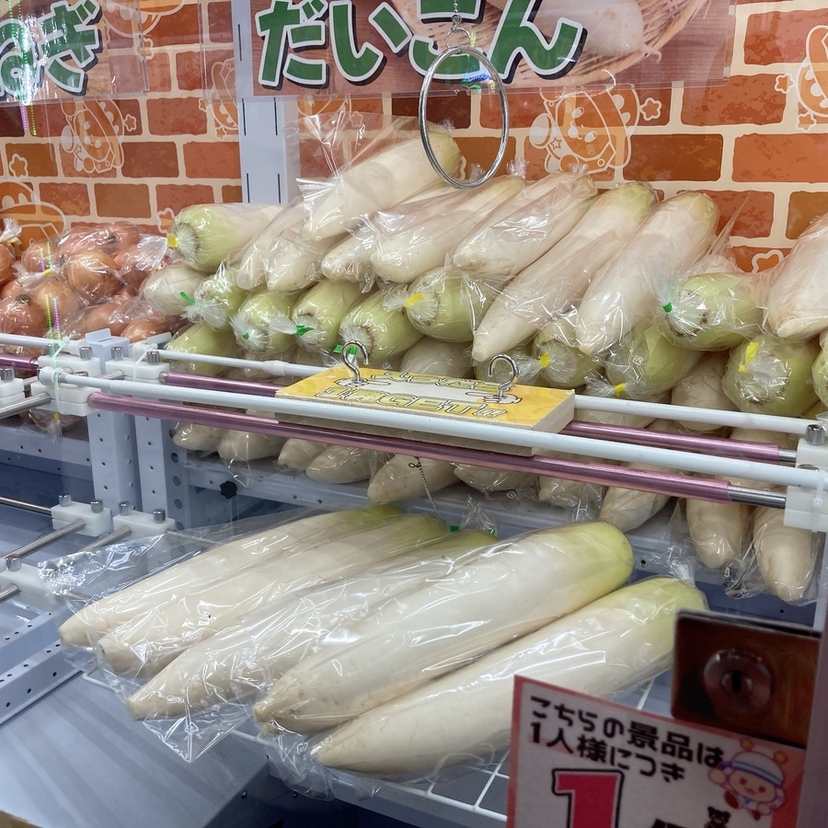 【旭川】100円で大根ゲット!? 話題のフック設定クレーンゲームやってみた