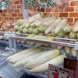 【旭川】100円で大根ゲット!? 話題のフック設定クレーンゲームやってみた
