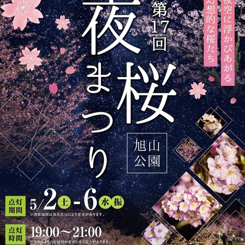 第１７回「旭山公園夜桜まつり」