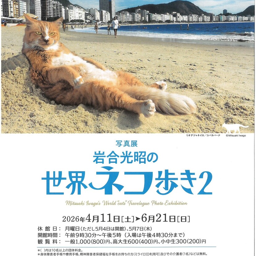 【6月21日まで!】写真展『岩合光昭の世界ネコ歩き2』開催中！