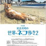 【6月21日まで!】写真展『岩合光昭の世界ネコ歩き2』開催中！