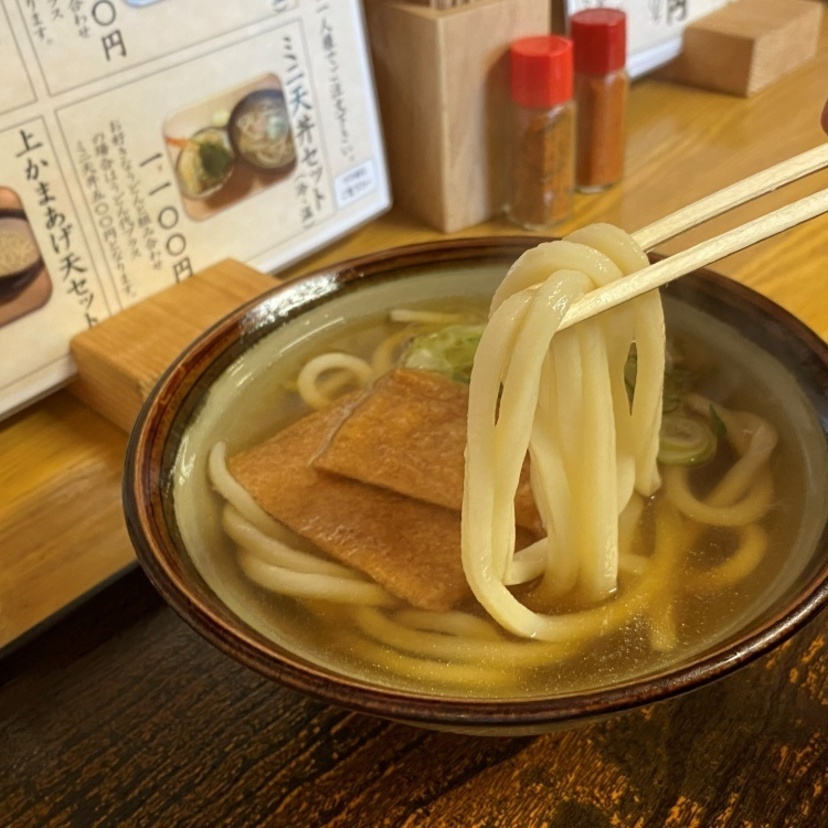【旭川】専門店の手打ちうどんや特注麺を使った和食店の鰊うどんなど
