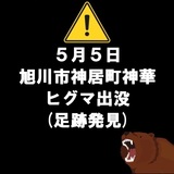【5月5日(火)】旭川市神居町神華の山道でヒグマの足跡