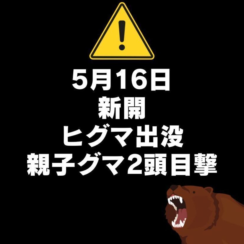 【5月16日】新開でヒグマ出没(親子グマ2頭目撃)