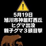 【5月19日】旭川市神居町西丘にヒグマ出没（親子グマ３頭目撃）