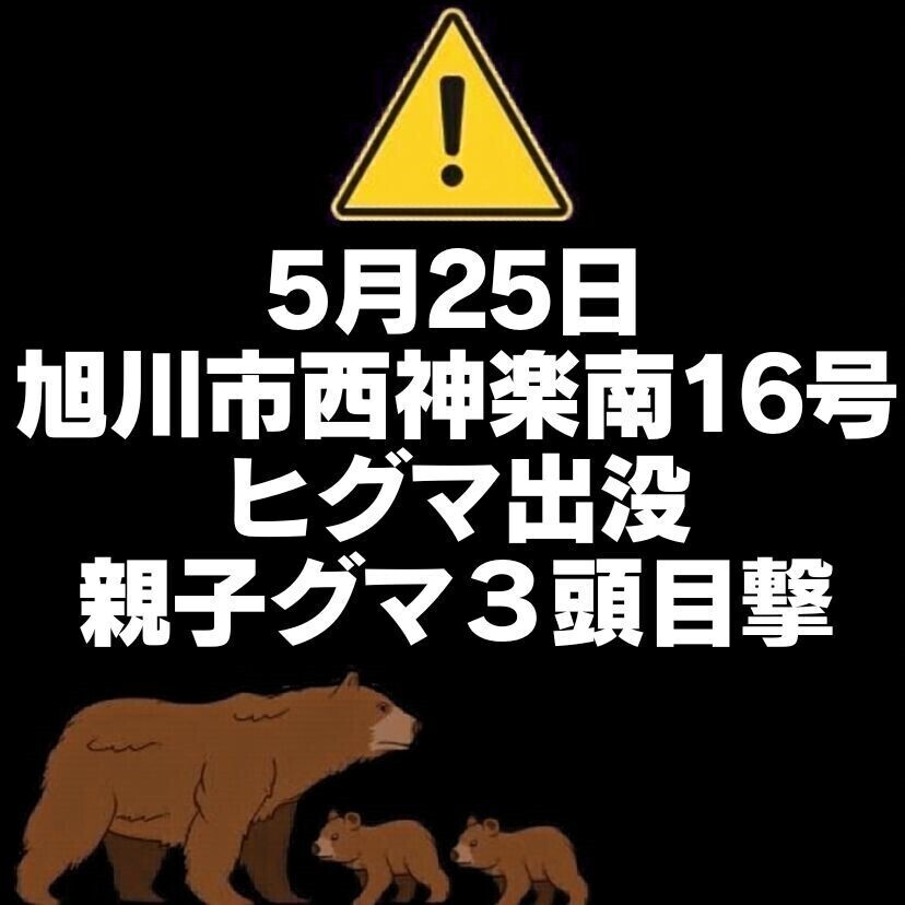 【5月25日】旭川市西神楽南16号でヒグマの親子3頭目撃