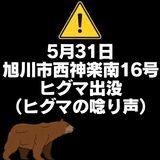 【5月31日】旭川市西神楽南16号でヒグマの唸り声