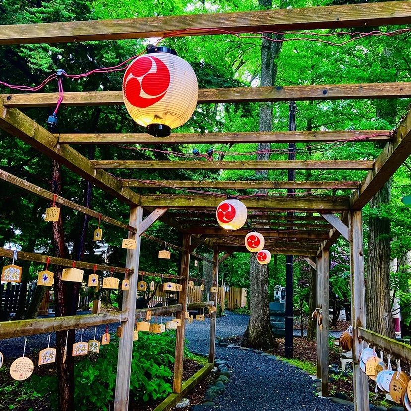 【旭川】神社巡り３選！神秘的な水みくじ&可愛い動物おみくじを引いてみた。