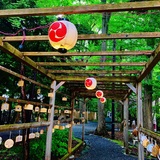 【旭川】神社巡り３選！神秘的な水みくじ&可愛い動物おみくじを引いてみた。