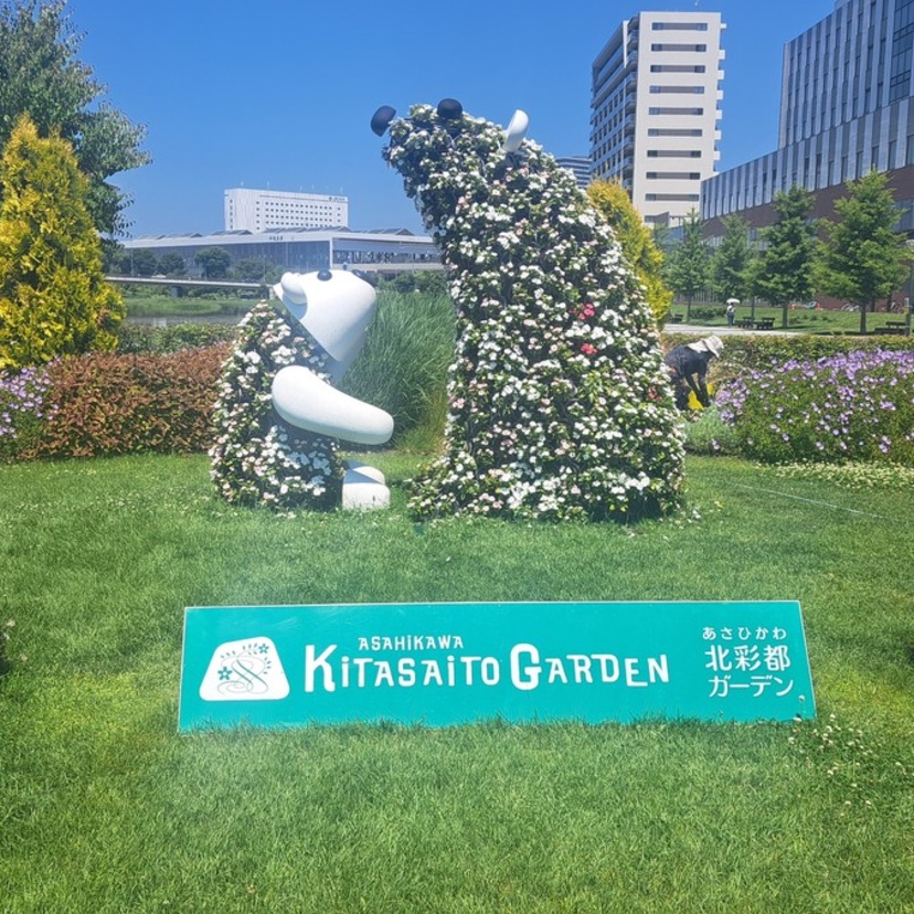 晴れの日はお花のキレイな公園に行こう！！旭川の街周辺の公園２選