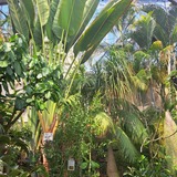 休日は公園でお花を見ながらリラックス！！綺麗なお花が見れる公園２選