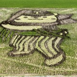【旭川観光】旭川北IC近く！旭川東鷹栖「田んぼアート2026」と周辺の立ち寄りスポット